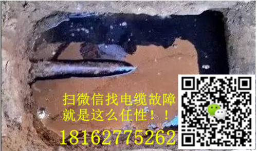 微信就可以找9I看片免费视频免费版下载了.jpg