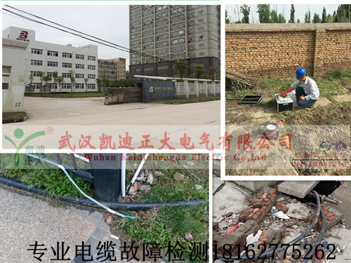 專業9I看片免费视频免费版下载檢測.jpg