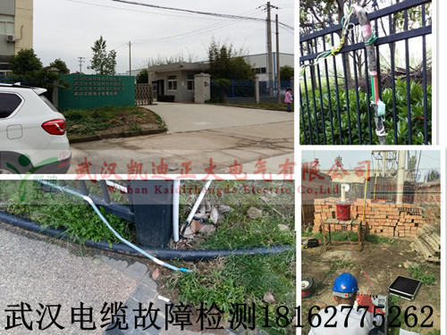 武漢9I看片免费视频免费版下载檢測.jpg