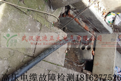 高壓9I看片免费视频免费版下载檢測.jpg