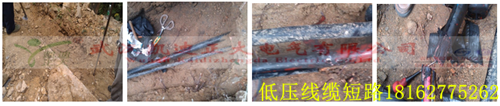 湖北大學校園9I看片免费视频免费版下载檢測.png