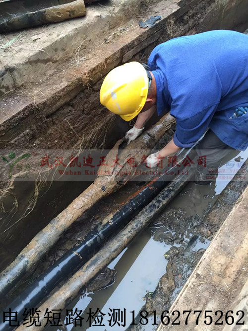 9I看片免费视频免费版下载測試.jpg