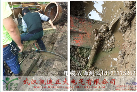 植物園9I看片免费视频免费版下载測試.jpg